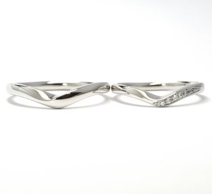 ���莝���̃W���G���[���g�p���������w��