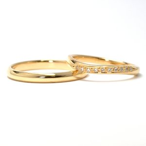 ���莝���̎w�ւ�n�����Đ��삵�������w��