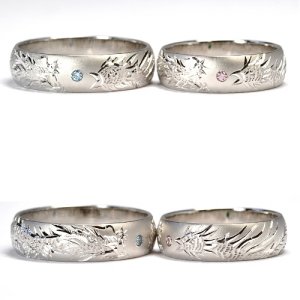 ���ƖP���̌����w��