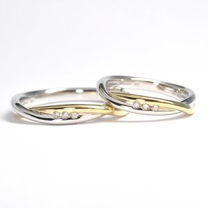 �I�[�_�[���C�h�E�v���`�i�ƃS�[���h�E�R���r�f�U�C���̌����w��