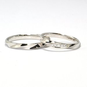 �I�V�����Ȍ����w��