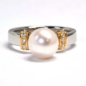 �I�[�_�[���C�h�E�p�[�������O