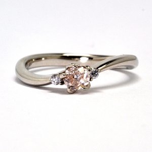 ���莝���̃s���N�_�C���ƃu���[�_�C�����g�p�����t�����[���`�[�t�����O