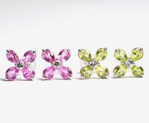 �t�����[���`�[�t�E�s�A�X