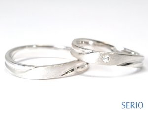 �c���������H���{�����I�V�����Ȍ����w��