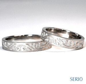 ��������͗l�̌����w��