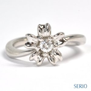 �����`�[�t�E����w��