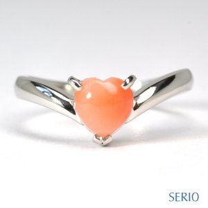 �V�R�s���N�X��̃G���Q�[�W�����O