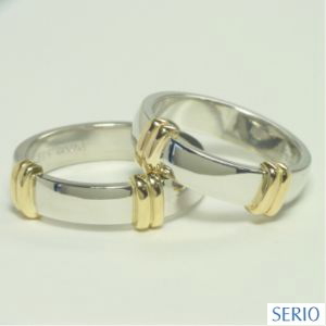 2�{�̎w�ւ�n�����đ����������w��