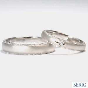 ���X�E�l���n���h���C�h���������w��