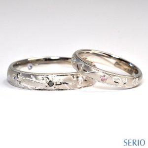 �T�N���E��C�`�S�͗l�̒��肪�����������w��