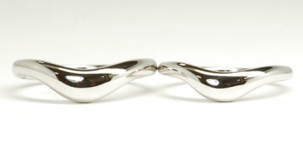 �I�V�����ȃ��C���̌����w��