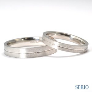 ���C�����������I�V�����Ȍ����w��