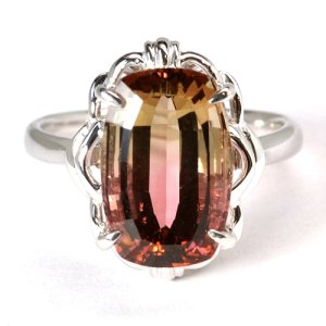 �V�R�΃o�C�J���[�g���}�����̎w��