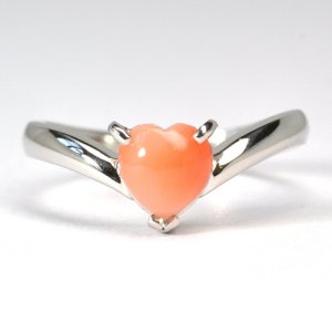 �V�R�s���N�X��̍���w��